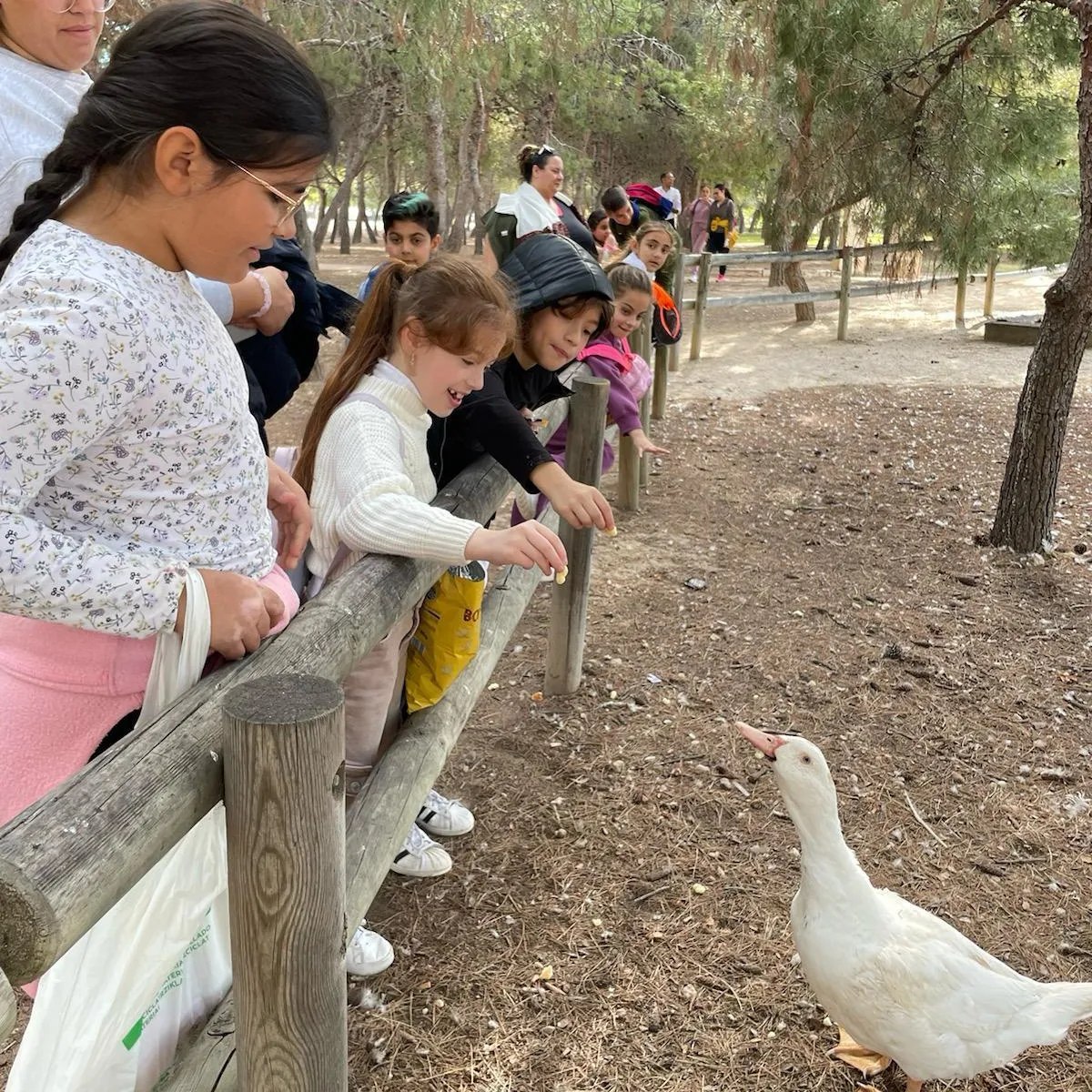   Salida de Impulsa Kumpani con los grupos de Infantil y Primaria al Parque de los Patos de la Universidad de Alicante